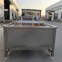 【输送式清洗机】苹果雪梨清洗设备 强大机械新品