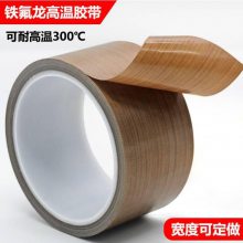 PTFEڻ300