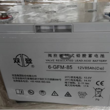 双登12V8***H阀控密封式铅酸蓄电池6-GFM-85(C20)