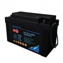 ·ʢ 12LPA20 Ǧ12V20AH UPS EPSԴ ֱ