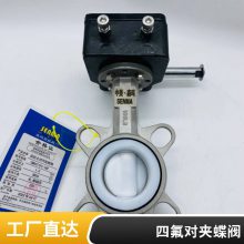 D97A1FPϵжԼʽķ綯͵͵