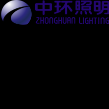 天津中环电子照明科技有限公司