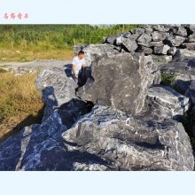 黑山石产地在哪里，黑山石庭院造景亮点一处，江西黑山石厂家