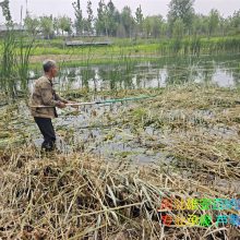 н«έ ˮ  רҵˮˮֲ