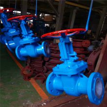 Z41F46-16C DN100rly̼WCBAЙC(j)܄g