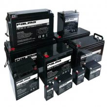 PALMAPM250-12 12V250AH PMǦϵ UPS/EPSֱ