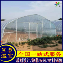 昱泰冷棚春秋棚蔬菜种植育苗温室大棚材料YTWSCQ1341