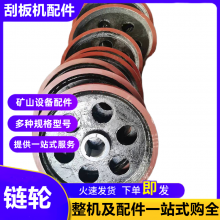 煤电厂捞渣机链轮 NE30提升机头轮底轮总成 消失模铸造传动齿轮