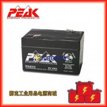 法国PEAK蓄电池PK6V2 6V2AH、机器人 仪器、船舶、绿色能源