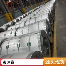 山东 印花彩涂板 彩钢瓦 DX51D Z 围挡用板 0.4*1250 欢迎来电