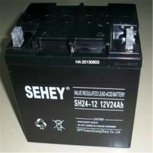 SENEY西力蓄电池SH20-12西力12V20AH 蓄电池质量如何