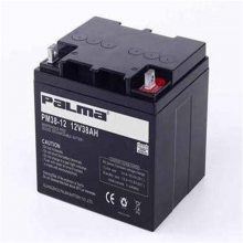 PALMAPM12-12 12V12AH PMǦϵ UPS/EPSֱӪ