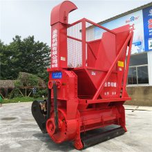 ĴţϽոѻջ жʽഢջ ոջ