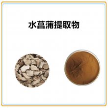 水菖蒲提取物10:1 浸膏粉 喷雾干燥 可定制 沃特莱斯生物