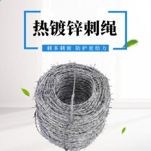 Q235铁丝刺绳刺铁丝铁蒺藜钢丝刺绳电镀锌刺绳