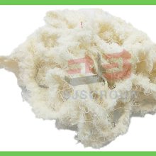 鲼 ֵ̫֯ƷӦ