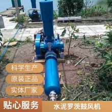 三叶罗茨风机 水泥厂窑头罗茨鼓风机 反冲洗风机