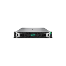 (HPE) HP DL380 Gen11⻯ERPѧϰGPU 2U