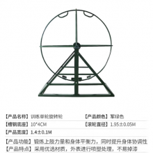 肋木攀爬架 训练攀爬梯 抗眩晕体能训练器材