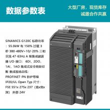 ԭװ G120Ƶ 6SL3210-1KE31-1AF1 ƹʣ55KW ˲
