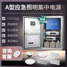 HZ-TXM-ZLR A型应急照明集中电源ZX-D-1KVA-24V
