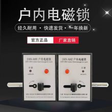 供应DSN-AMY/AMZ户内电磁锁 AC DC220V 110V通用