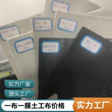 水库大坝水产养殖土工膜单价 油罐防渗膜 复合两布一膜