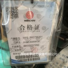 潍柴股份发动机 WP2.3NG75E301柴油机配套液压泵水泵