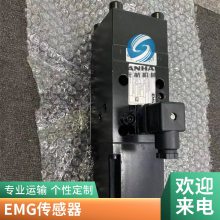 EMG SV1-10/8/120/6ŷ¹ԭװֻ