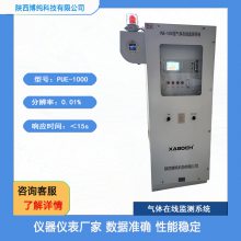 PUE-1000wھO(jin)y(c)ϵy(tng) CO/CO2O(jin)y(c)x NDIRtg(sh)