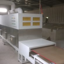 ZNWB120S-5G微波隧道式连续低温杀菌烘干设备