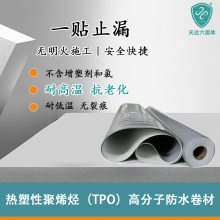 TPO߷ӷˮĹҵԾϩ