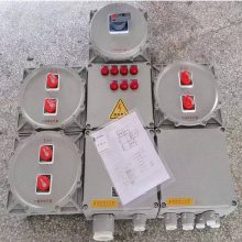  BXD-AP1 Exde IIBT4 IP65񡢷