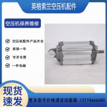 英格索蘭空氣壓縮機(jī)電機(jī)54666425/54528773/42866509