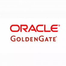 Oracle ODG ҵ ԭ桾oracle|oracle̡