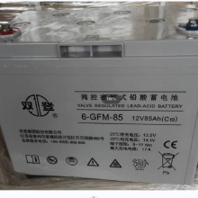 ˫ܱʽ 6-GFM-85(C20) 12V8***H