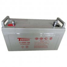 泰斯特蓄电池TST12V100 12V100AH安防警报系统