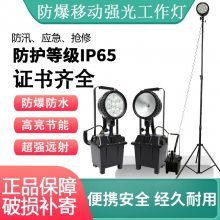 FW6101BT防爆移动工作灯24V充电泛光移动升降应急灯30W