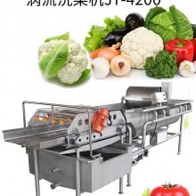 九盈JY-4200涡流洗菜机 连续式果蔬清洗设备 蔬菜清洗机