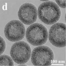 基科生物提供单分散性、粒径均一介孔二氧化硅纳米颗粒