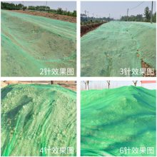 鸿宇筛网抑尘绿化网 抗氧化防晒网 绿色环保盖土网
