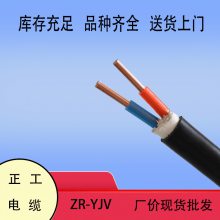 Ͽ¹ZC-YJV-2*10