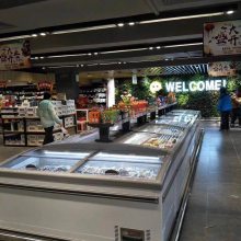 三盾冷链松下湖南长沙水饺柜雪糕柜冷冻展示柜
