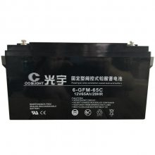 光宇蓄电池6-GFM-24固定型阀控密封式铅酸蓄电池12V24AH直流屏 配电柜