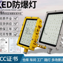 220Vʷ50w70W100WLED IP66ˮģ300w