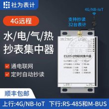 水电气热集中器NB-IoT/GPRS(4G)物联网无线远程抄表集中器ES205-D