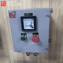 防爆配电箱电源仪表控制接线按钮触摸屏空箱柜照明开关防雨防粉尘