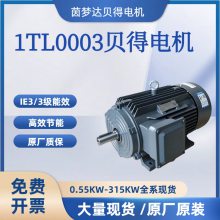 δ õ1TL8004-IE4ϵжЧ