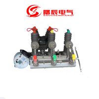 10KV智能遥控看门狗真空断路器开关厂家