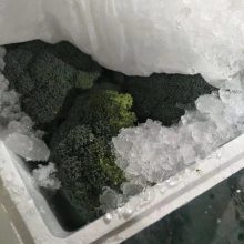 100ִײ˻أײ˳ڣСŰײֲ-ൺũׯ޹˾